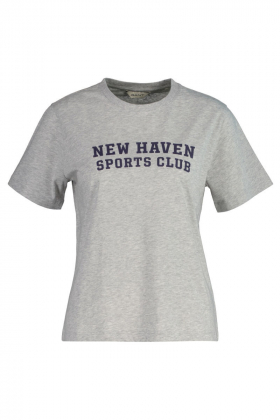 Reg Graphic SS T-shirt, Light Grey Melange