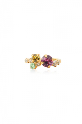 Stardust Ring, Gold & Autumn Bloom Combo