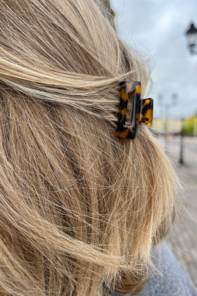 X-Small Square Claw, Warm leo